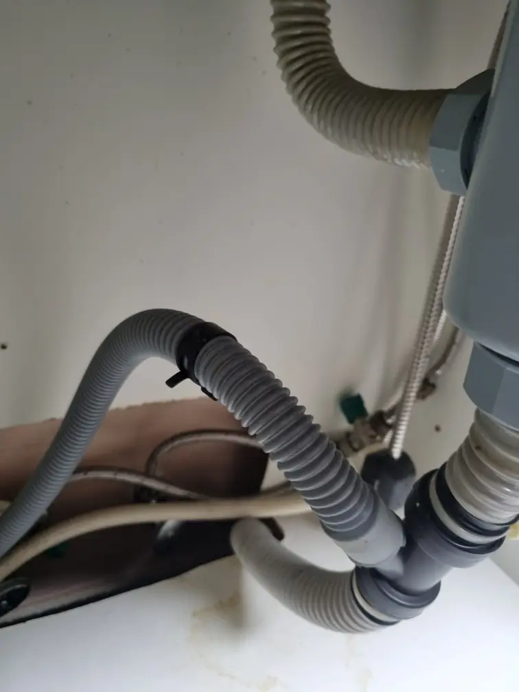 ??? ??